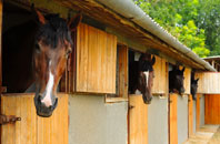 free High Park stable construction quotes